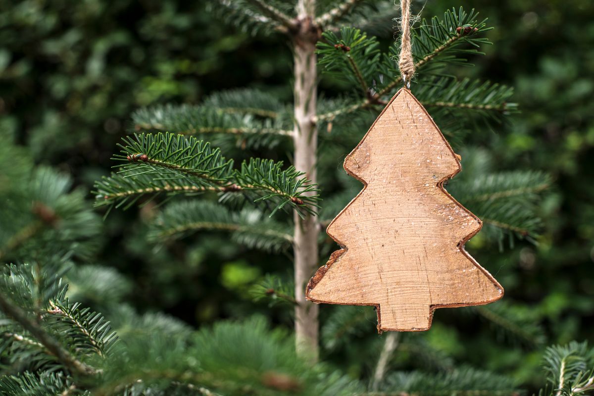 petit sapin en bois accroche dans sapin